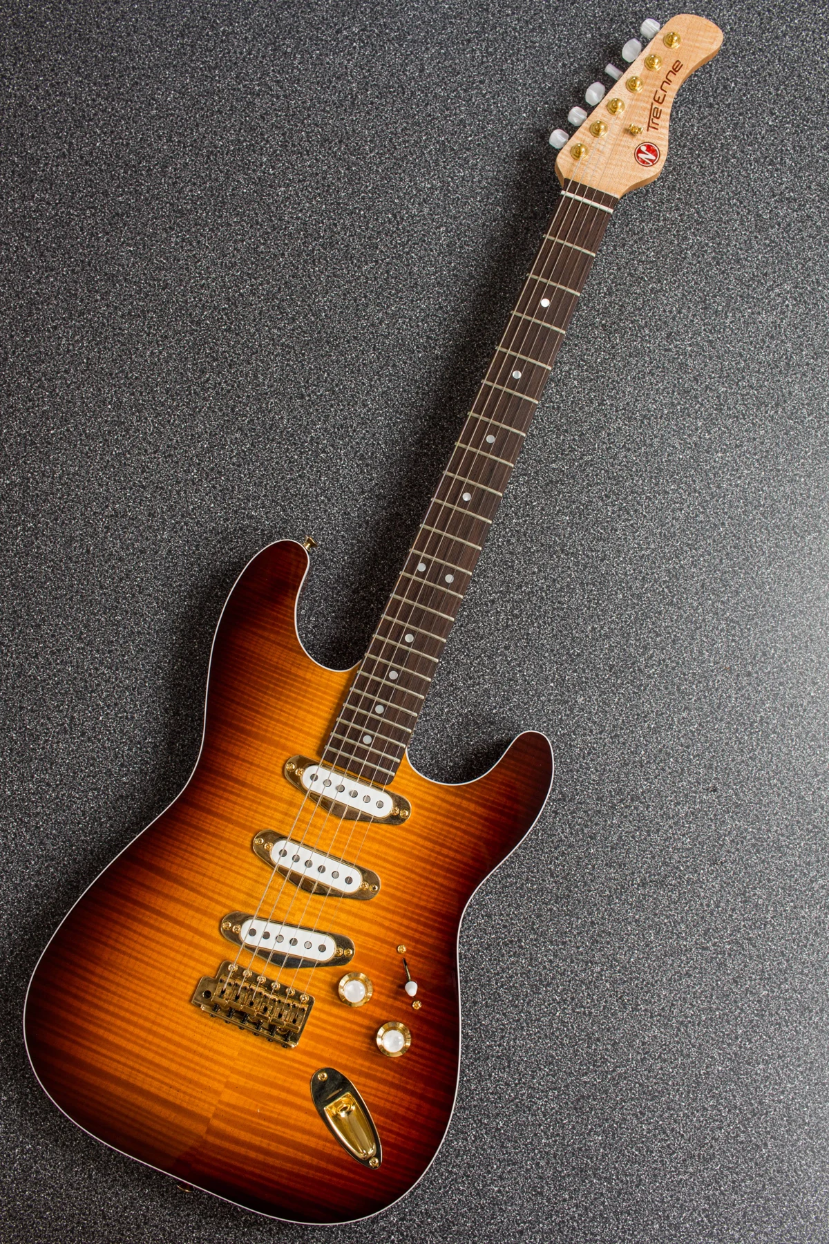 Electric guitar — full instrument